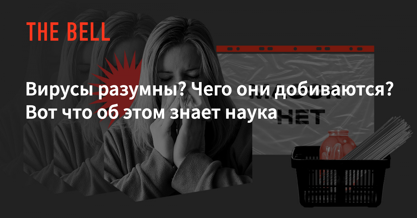 Вирусы разумны? Чего они добиваются? Вот что об этом знает наука